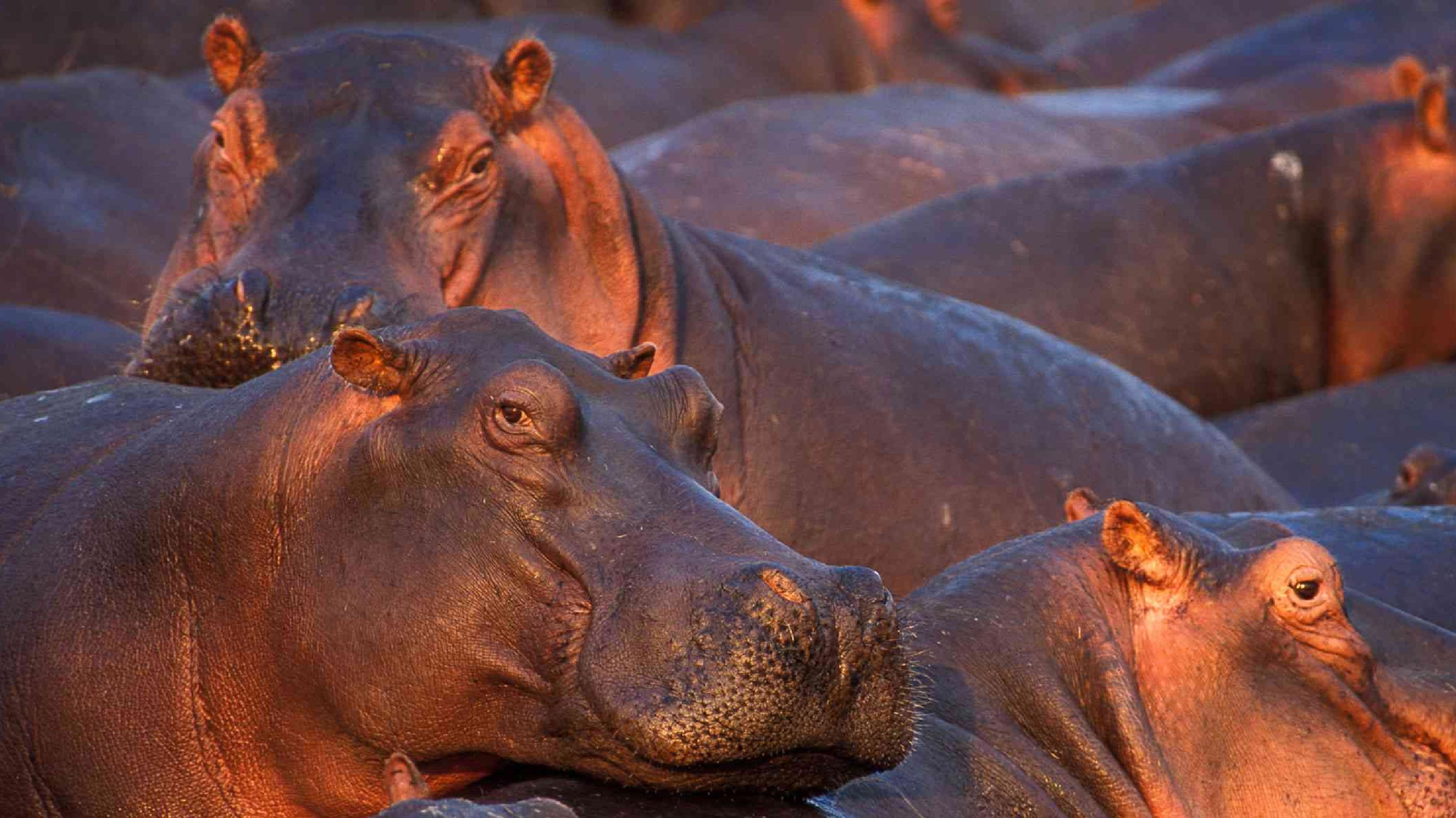 Katavi National Park